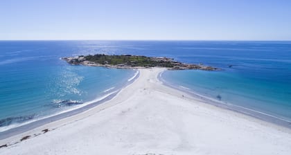 Diamond Island Resort & Penguin viewing