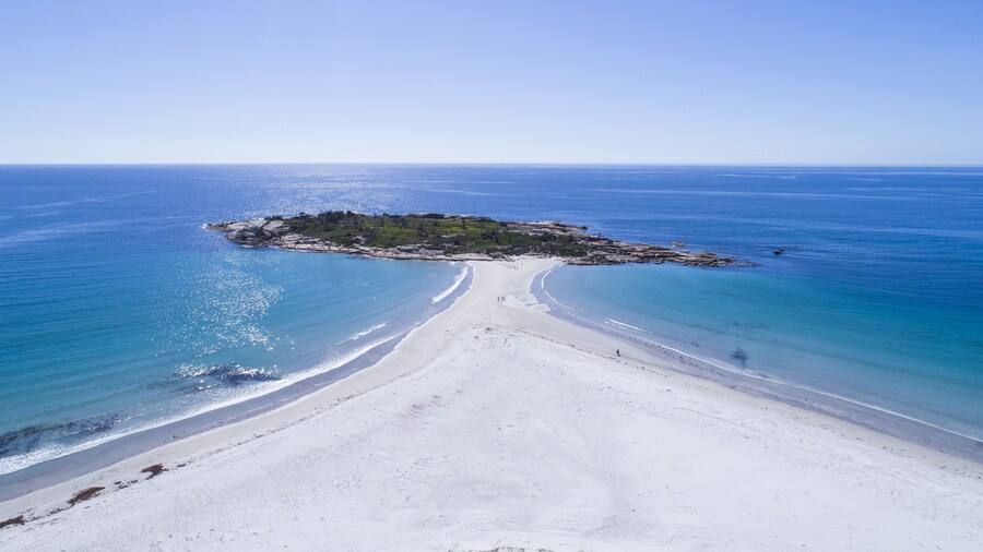 Diamond Island Resort & Penguin viewing