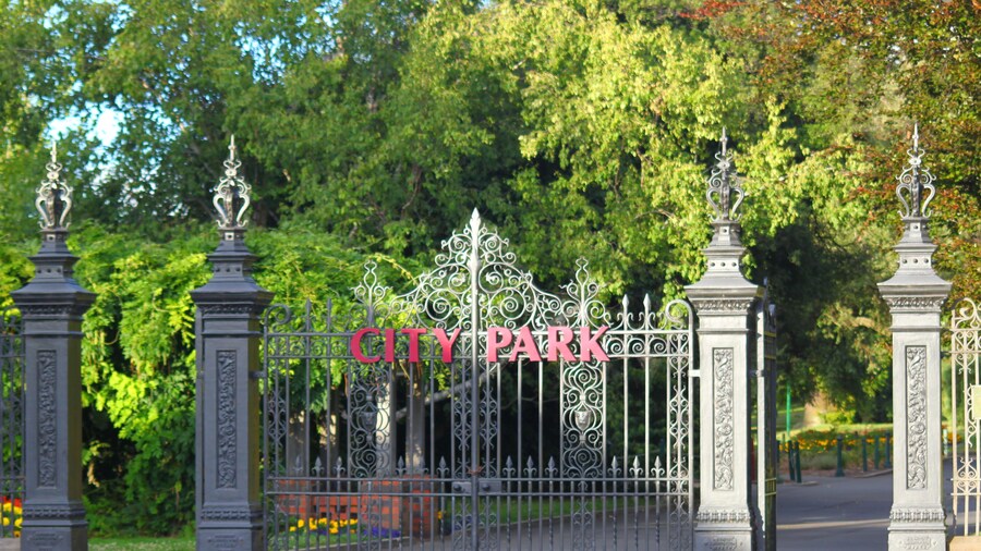 Commodore Regent Launceston