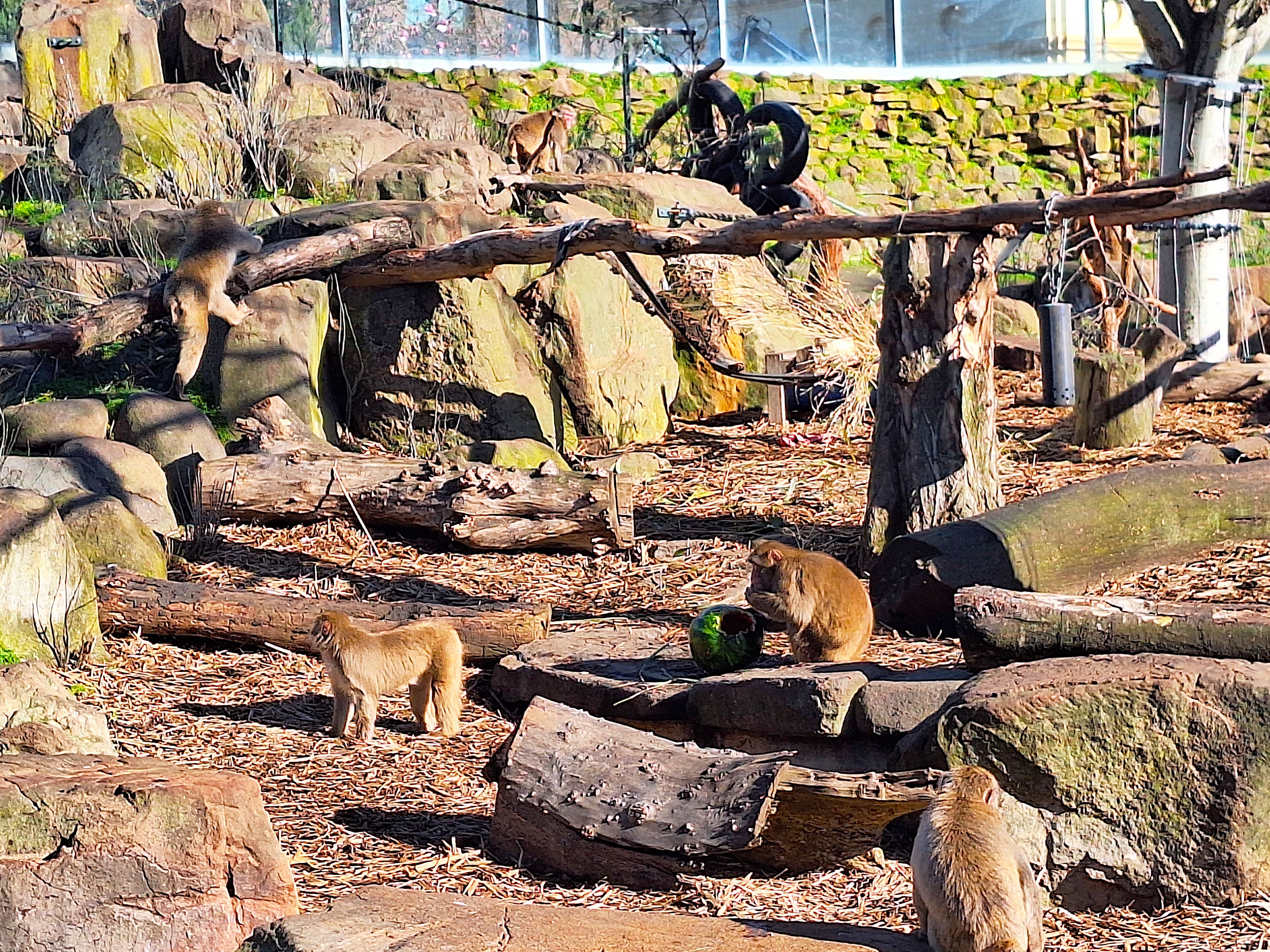 Foto - Commodore Regent Launceston