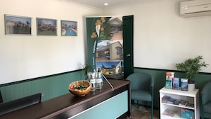Una zona de recepción con un mostrador de madera, cuadros en la pared, una puerta verde, una planta en maceta y una estantería blanca con revistas.