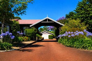 A pathway leading to a building with a red roof, surrounded by lush greenery and purple flowers. - Karri Forest Motel (Pemberton)