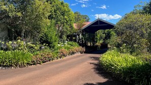 Stroll along the tree-lined path to a serene pavilion, surrounded by lush greenery and vibrant flowers.