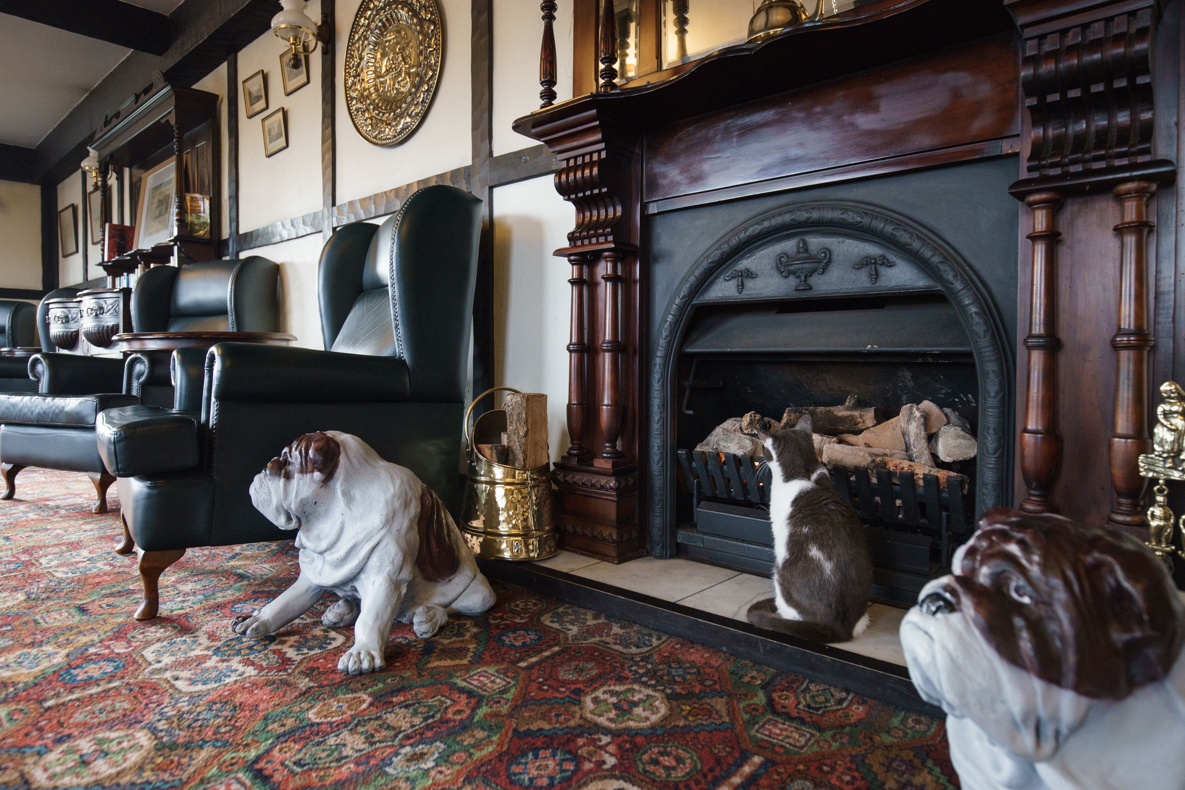 Photo - The Surrey Hotel