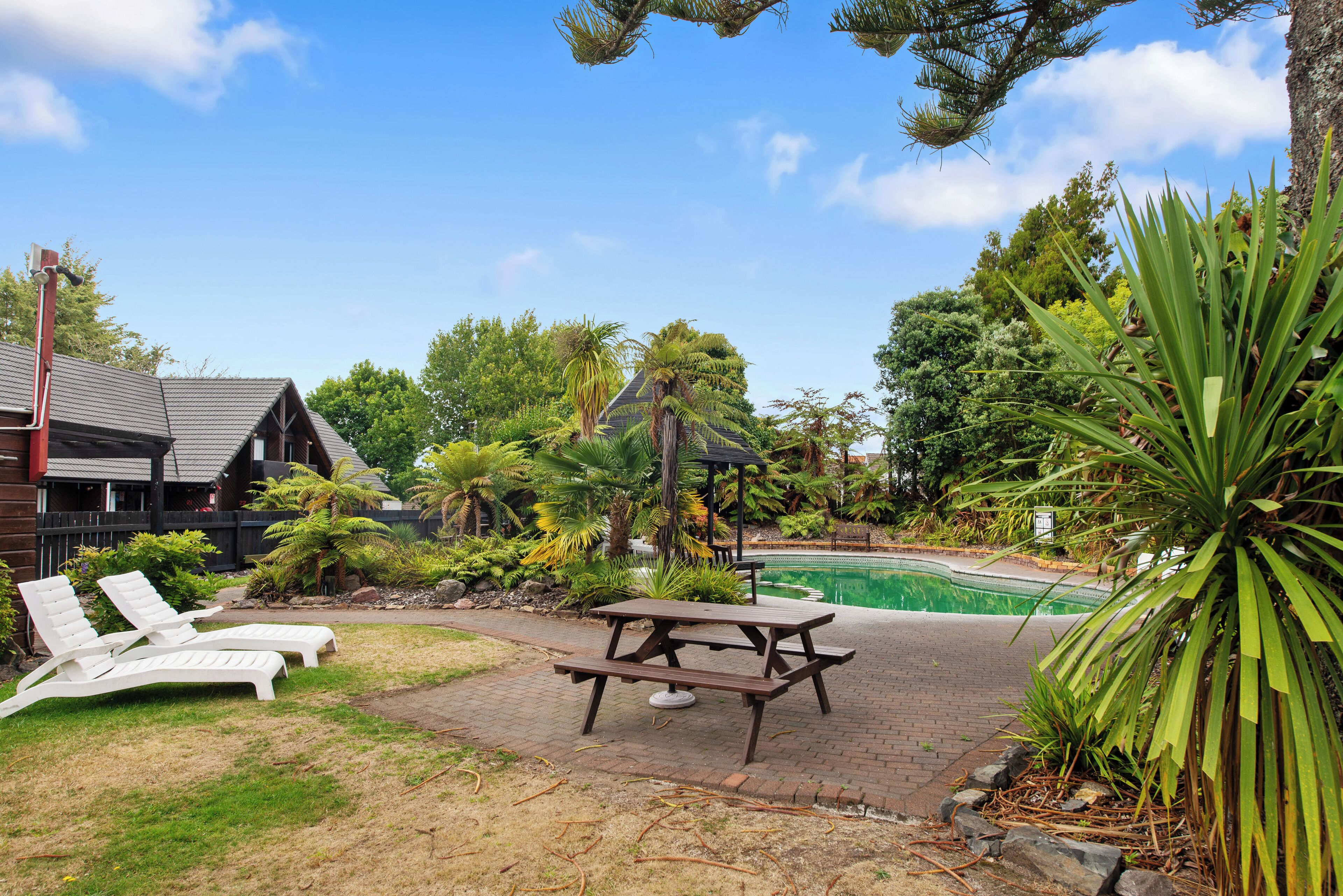 A backyard with a pool, lounge chairs, a picnic table, and various plants.