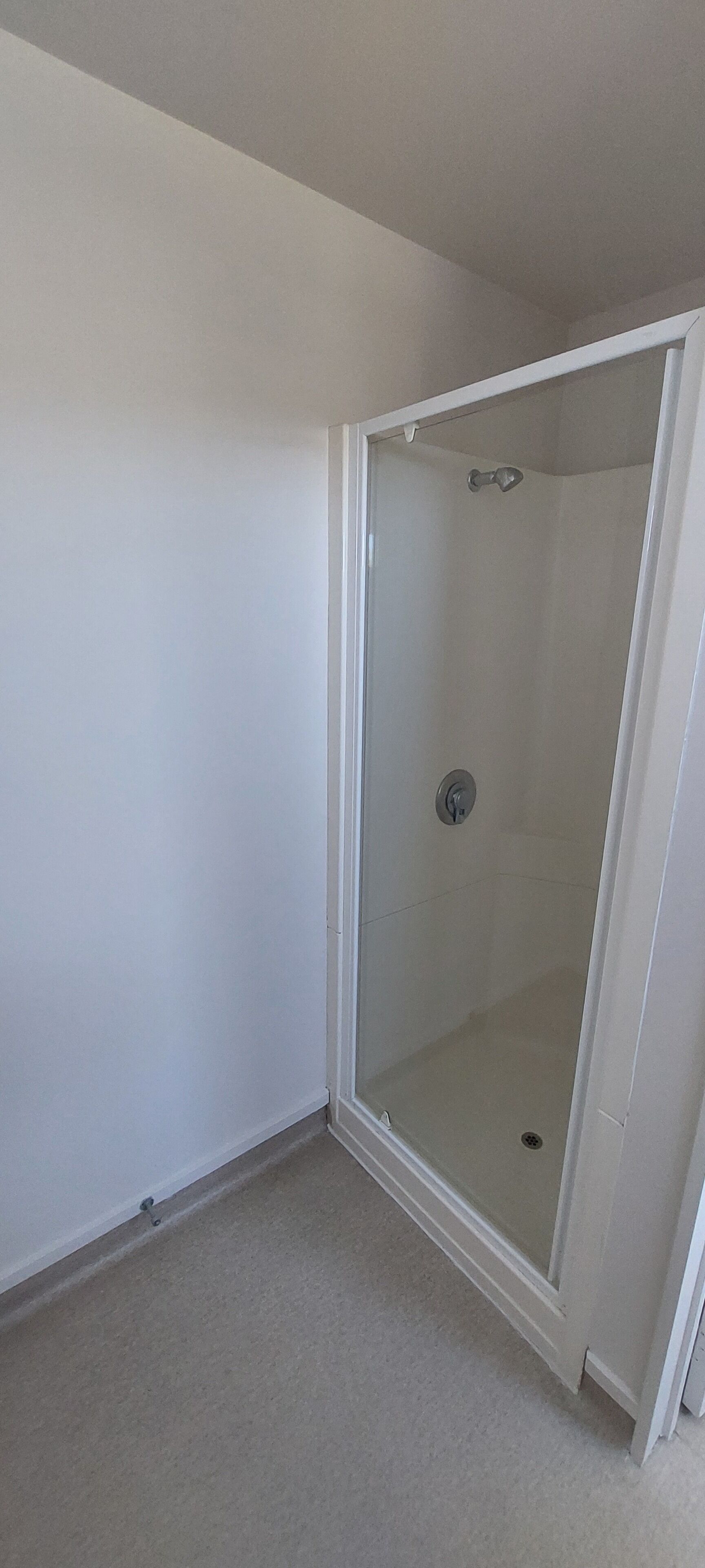A corner room with a glass shower enclosure and a white door.