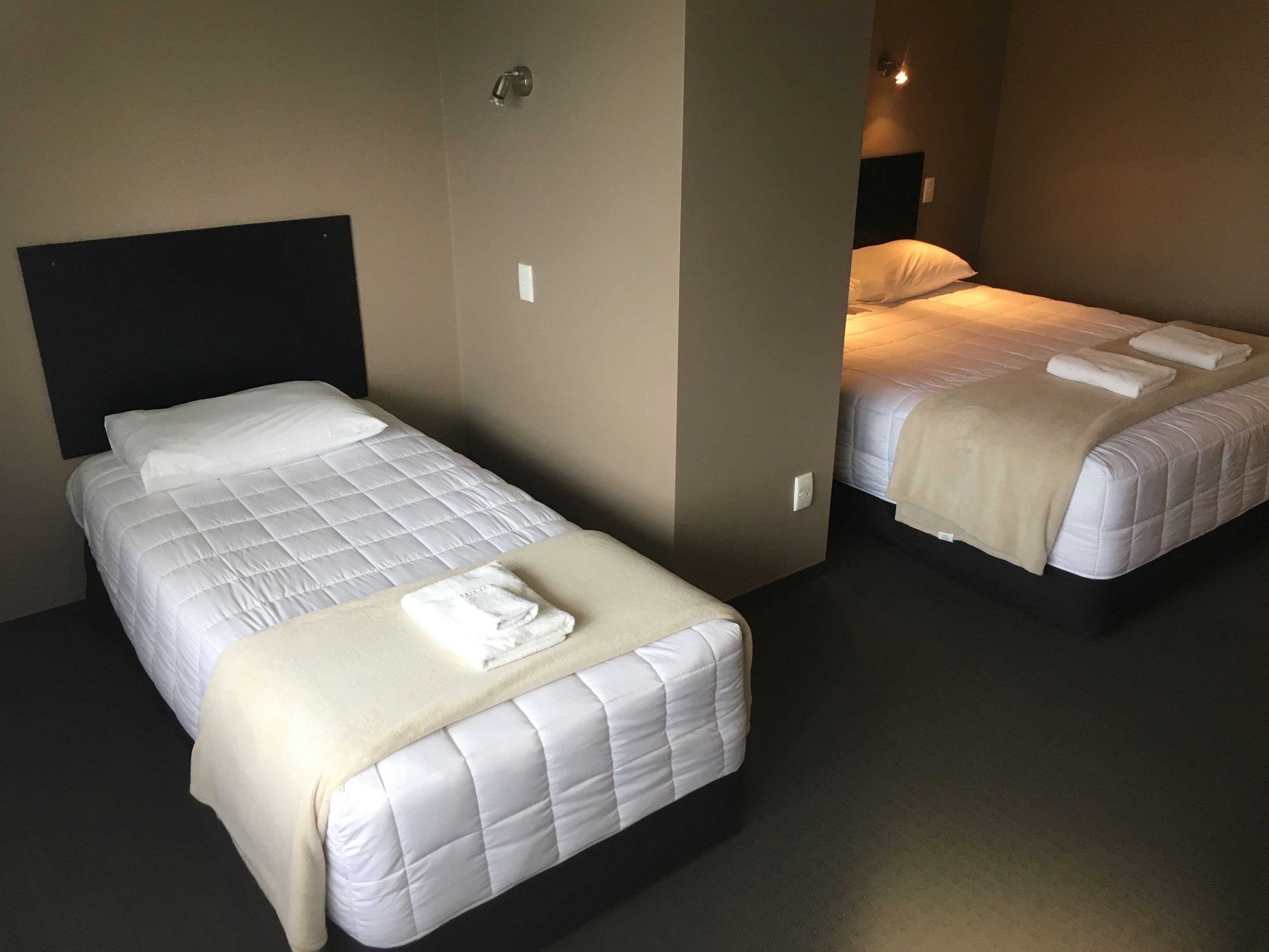 Two single beds with white bedding and a beige throw blanket, a dark headboard, and a wall-mounted light fixture.