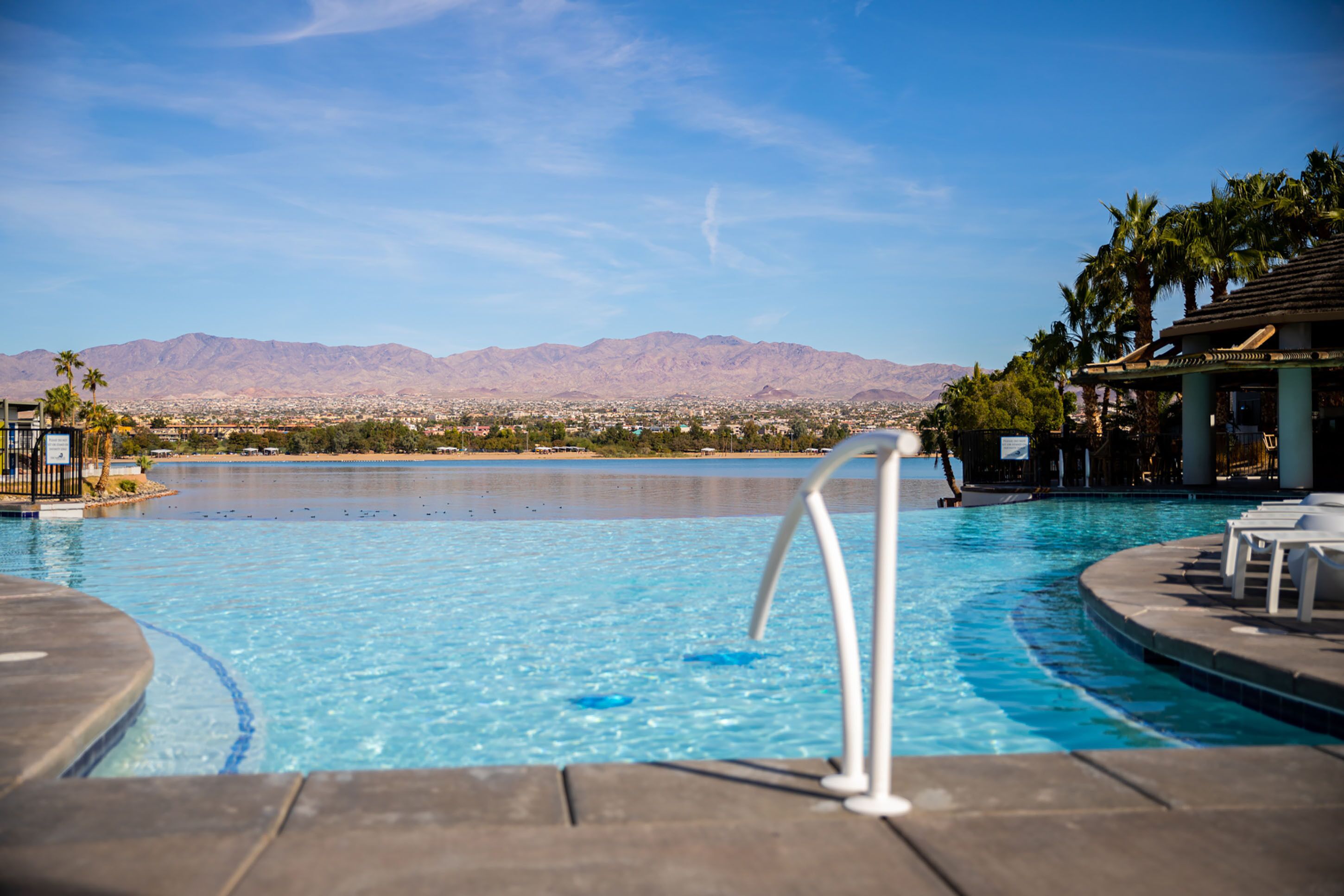A swimming pool with a view of mountains, a lounge area with chairs, and a palm tree.