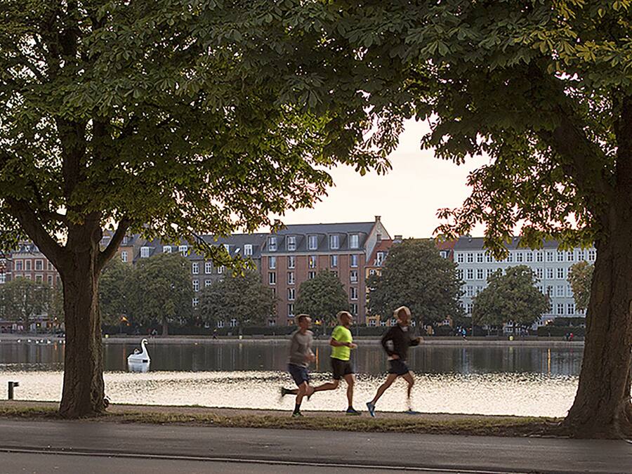 A park with a lake, trees, and buildings in the background.