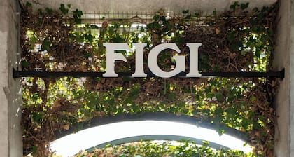 Hotel Theater Figi