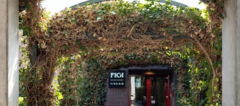 Hotel Theater Figi