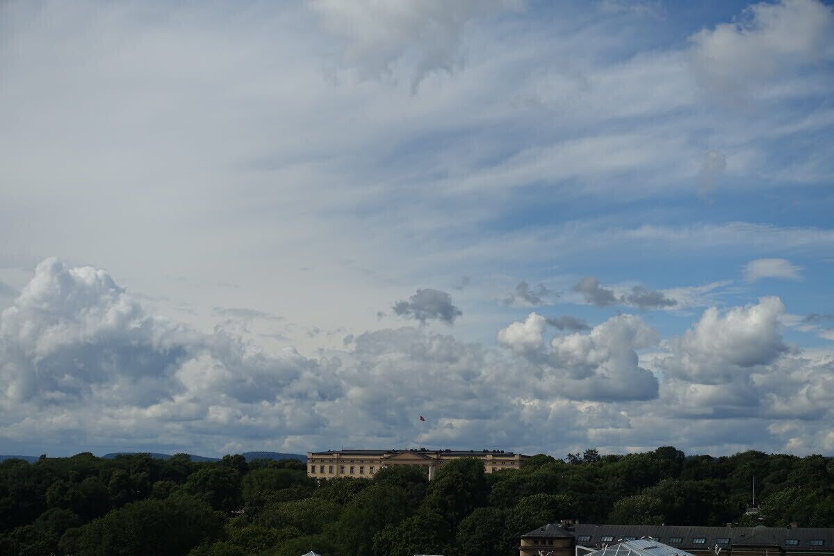 land view from property