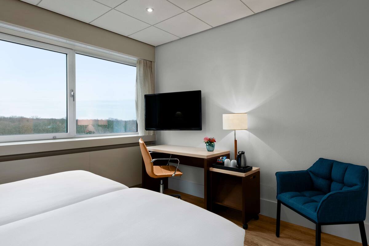 superior room, courtyard view | view from room