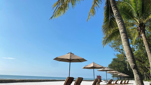 A beach with palm trees, sun loungers, and umbrellas. - Swiss-Grand Beach Resort Kuantan (Kuantan)