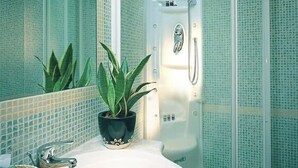 A bathroom with a glass-enclosed shower, a sink with a potted plant, and a mirror. - Hotel Philia Rome (Rome)