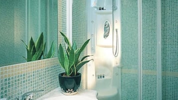 Sèche-cheveux, bidet, serviettes fournies, savon