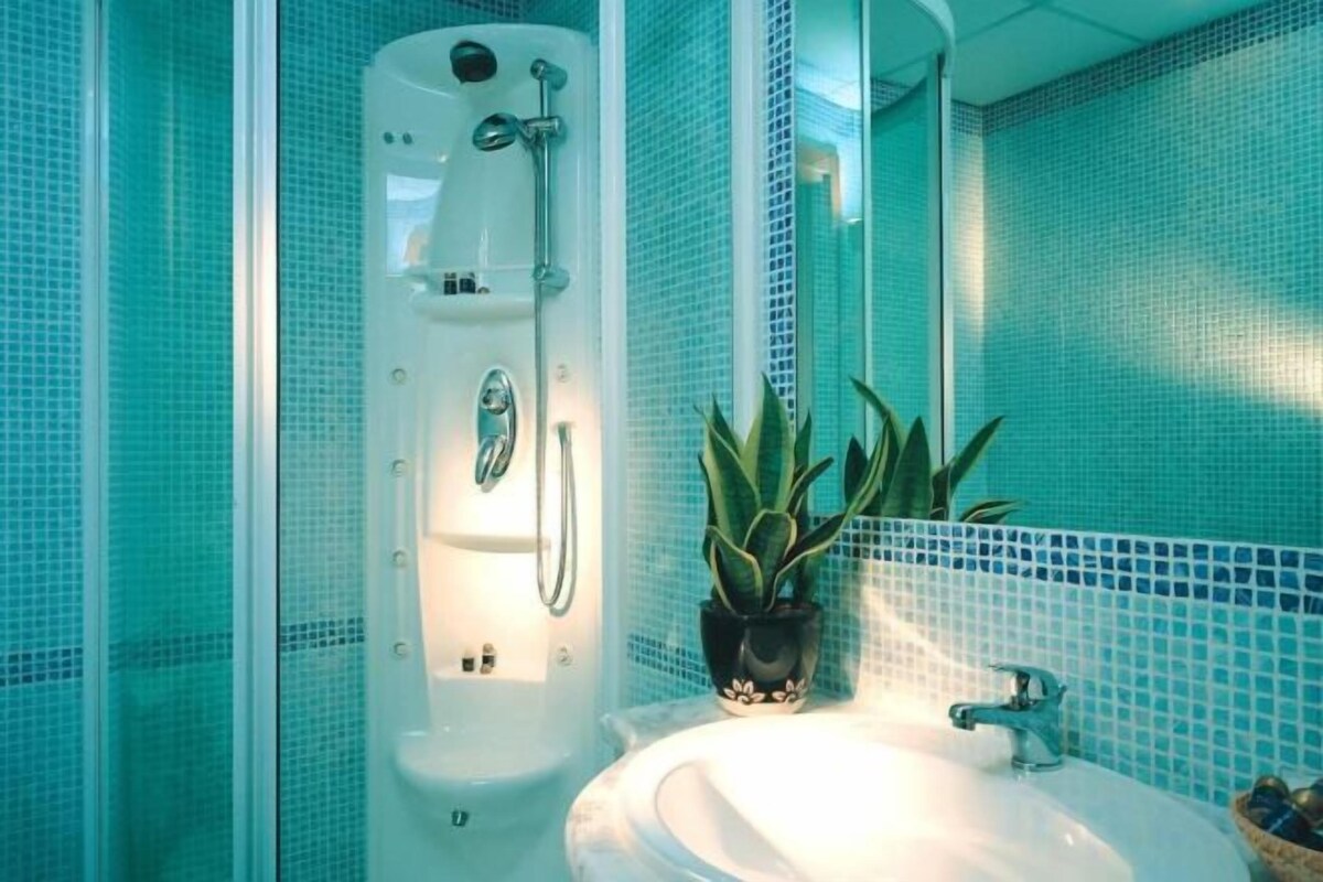 Bathroom | Hair dryer (on request), bidet, towels, soap