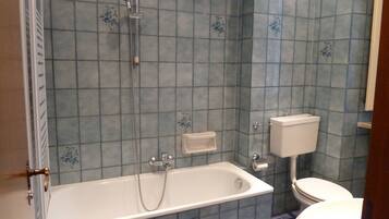A bathroom with a bathtub, toilet, and a shower.
