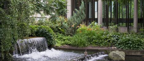 Une cascade se jetant dans un étang, entouré d’une végétation luxuriante, et un bâtiment doté de grandes fenêtres.