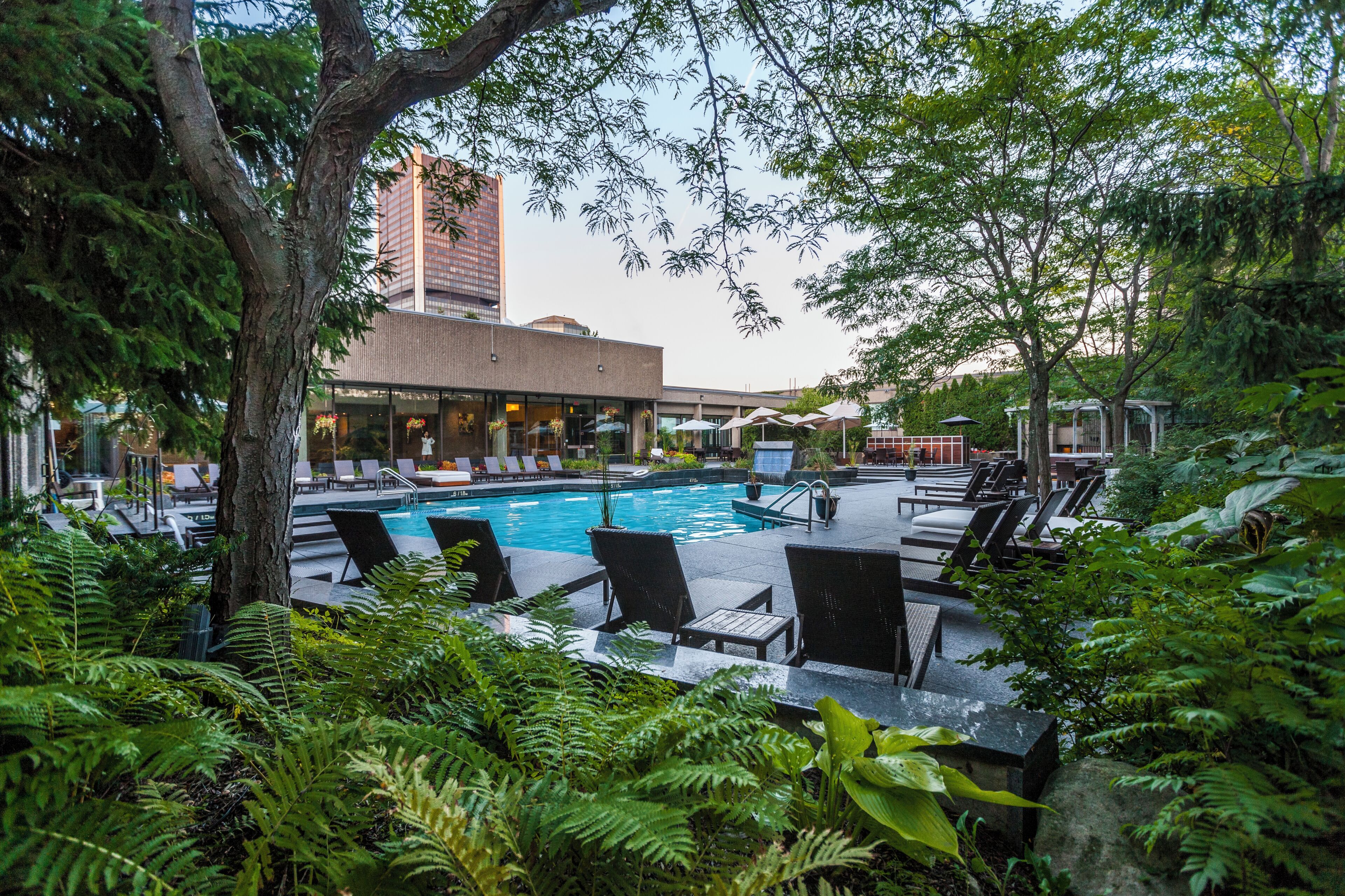 A pool area with lounge chairs, a building with large windows, and lush greenery.