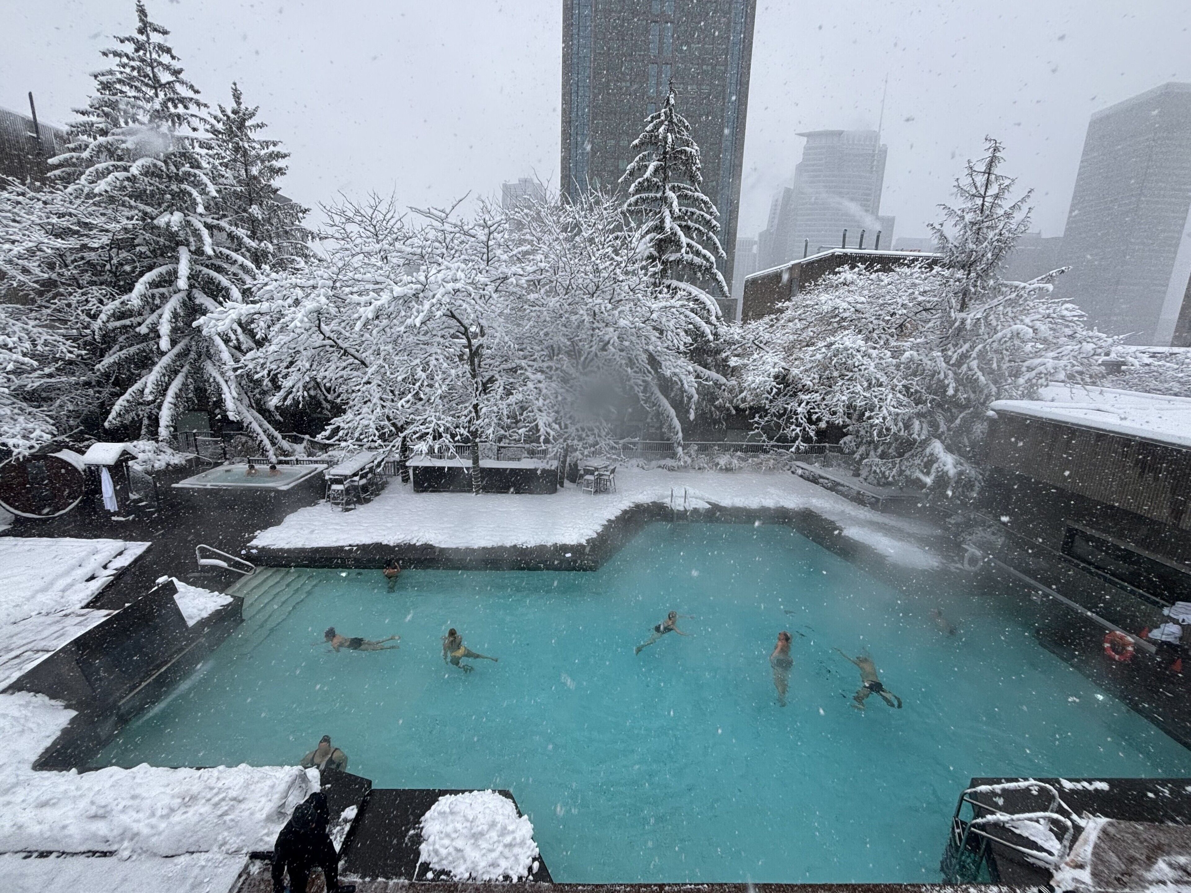 Una piscina rodeada de árboles y edificios cubiertos de nieve.