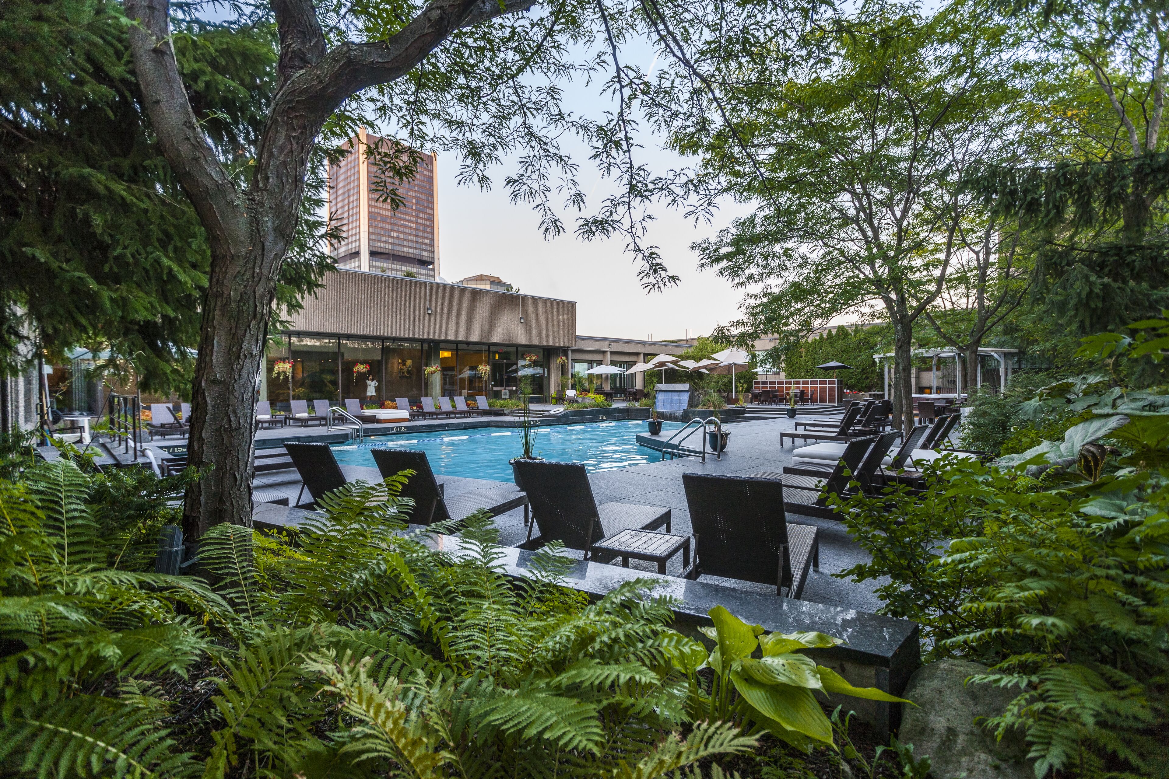 Vista desde la habitación