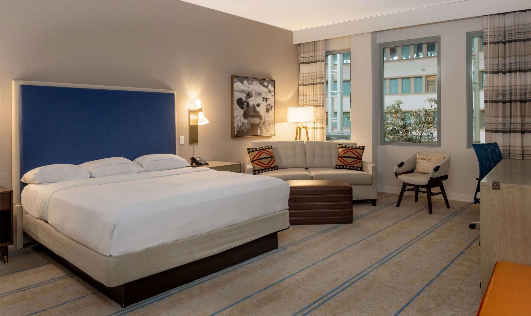 Premium bedding, pillow-top beds, in-room safe, desk