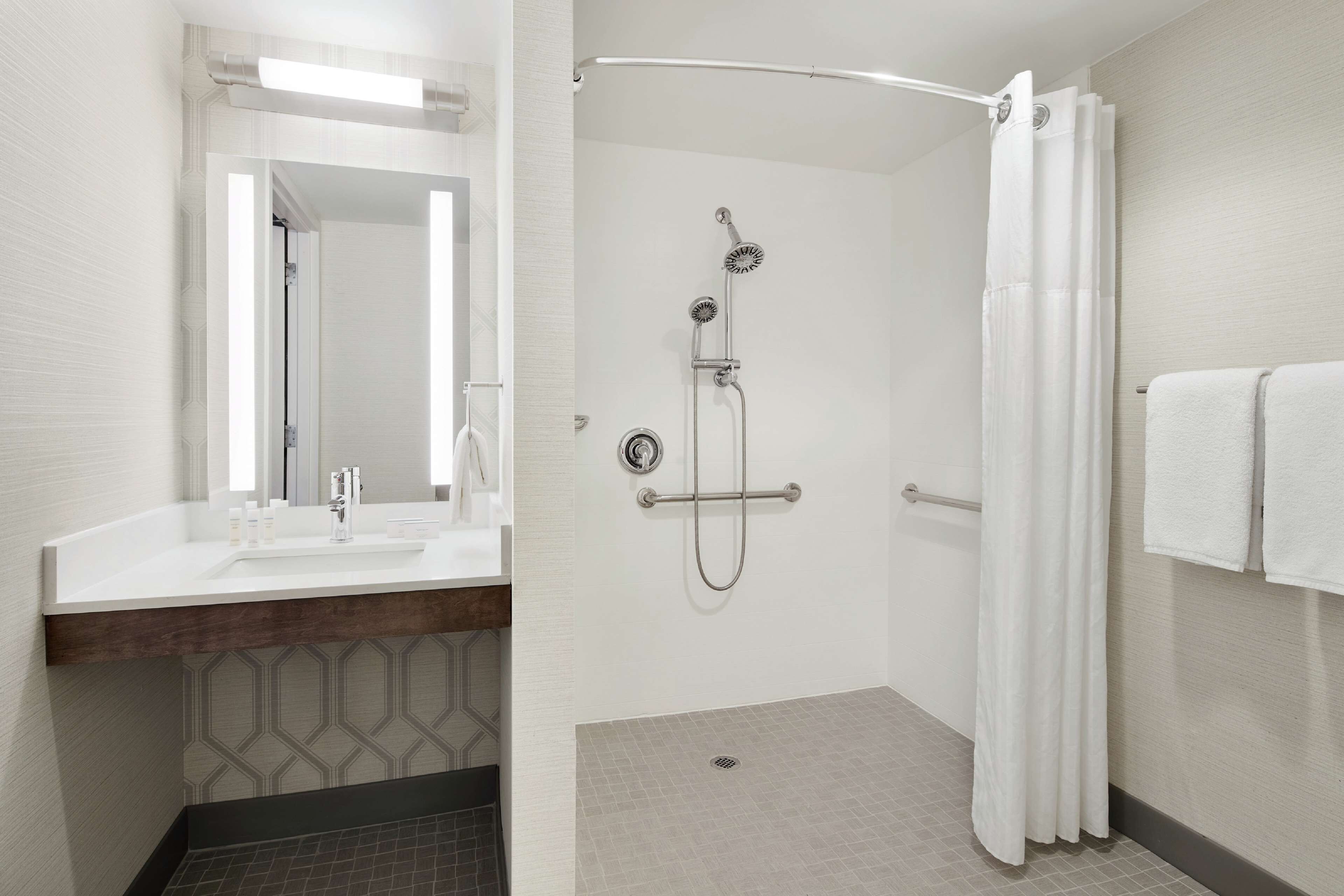 room, accessible | bathroom shower