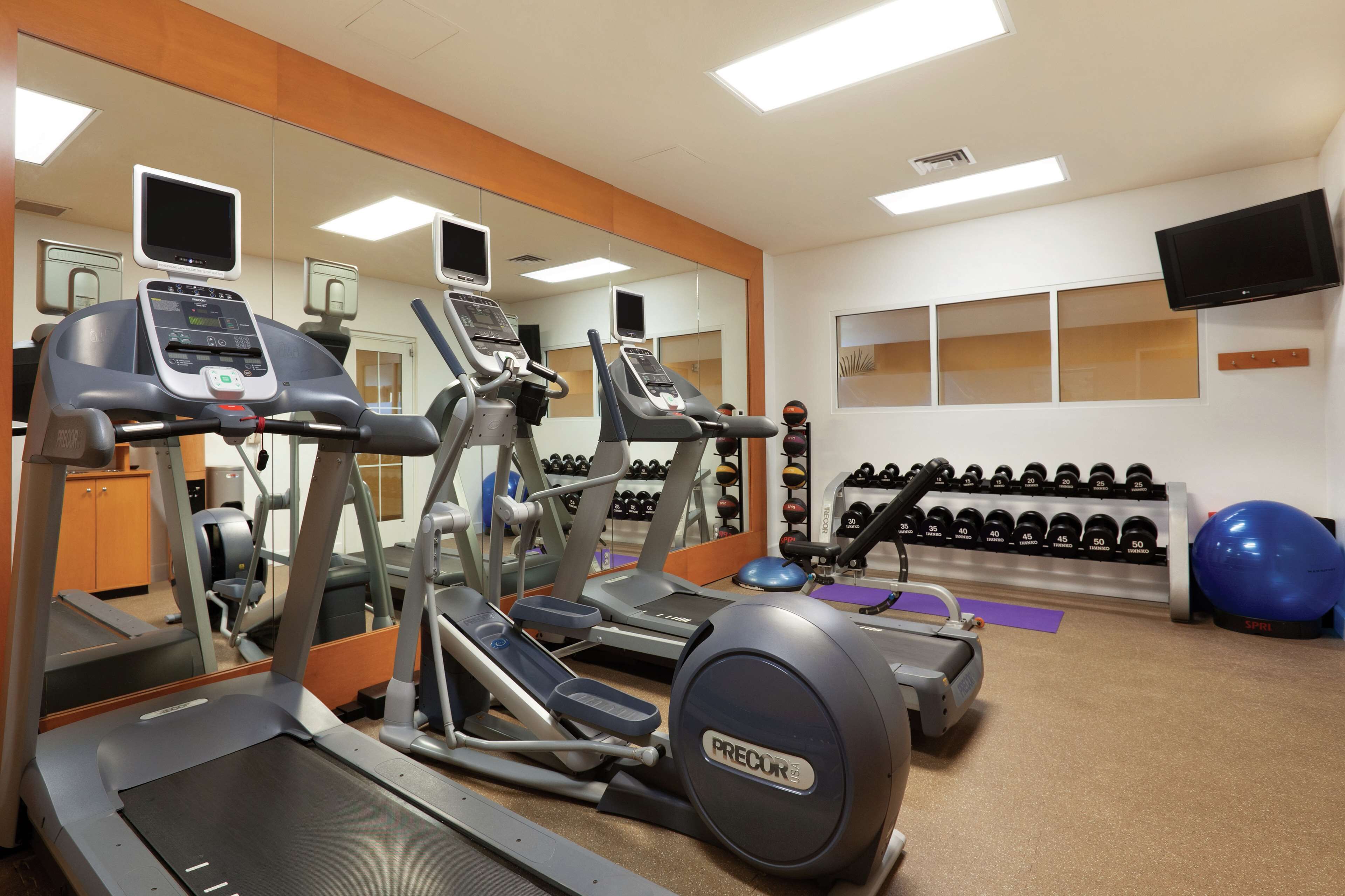 A gym with treadmills, elliptical machines, and a variety of weights.