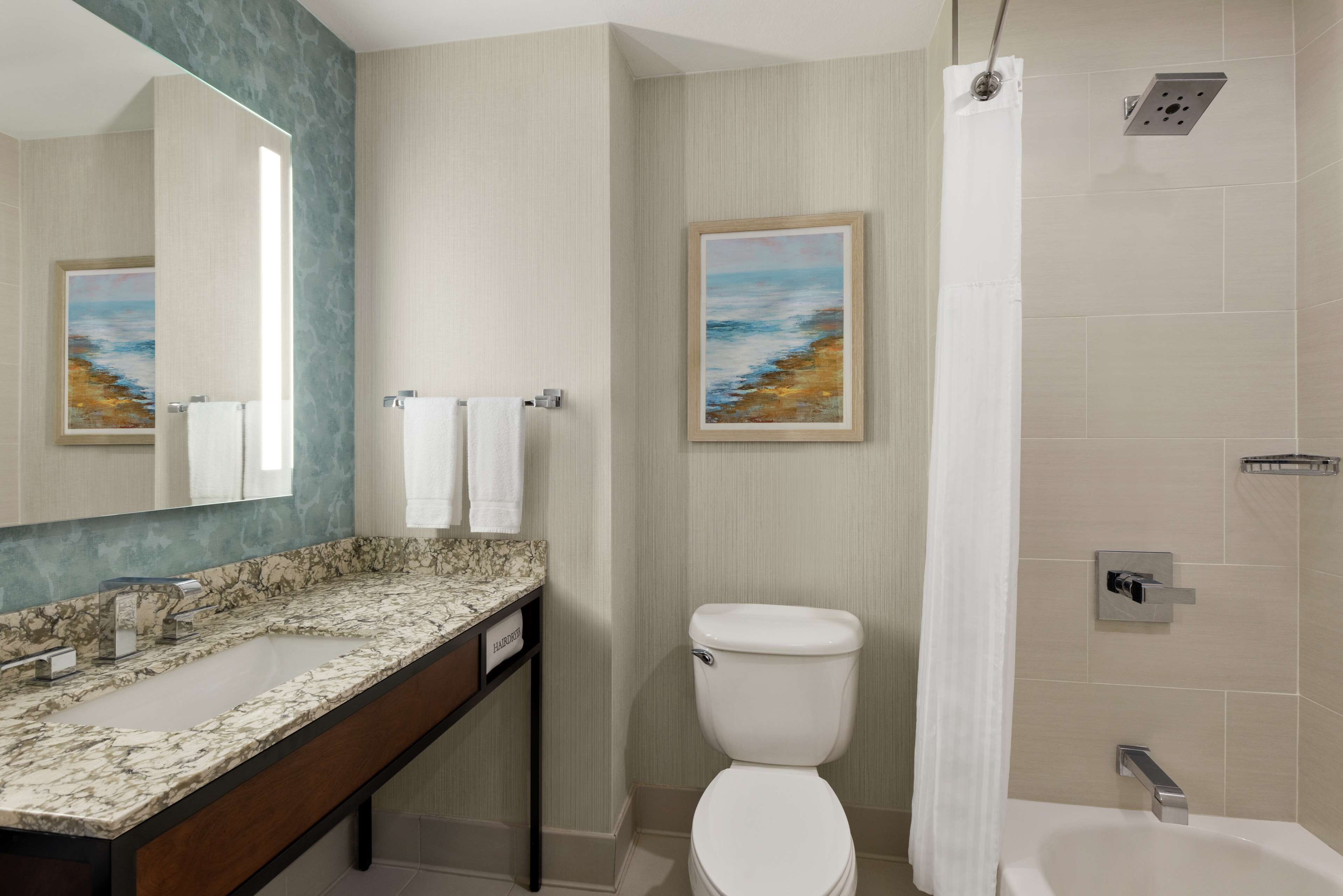 Une salle de bain avec un lavabo en marbre, des toilettes, une douche et deux tableaux encadrés accrochés aux murs.