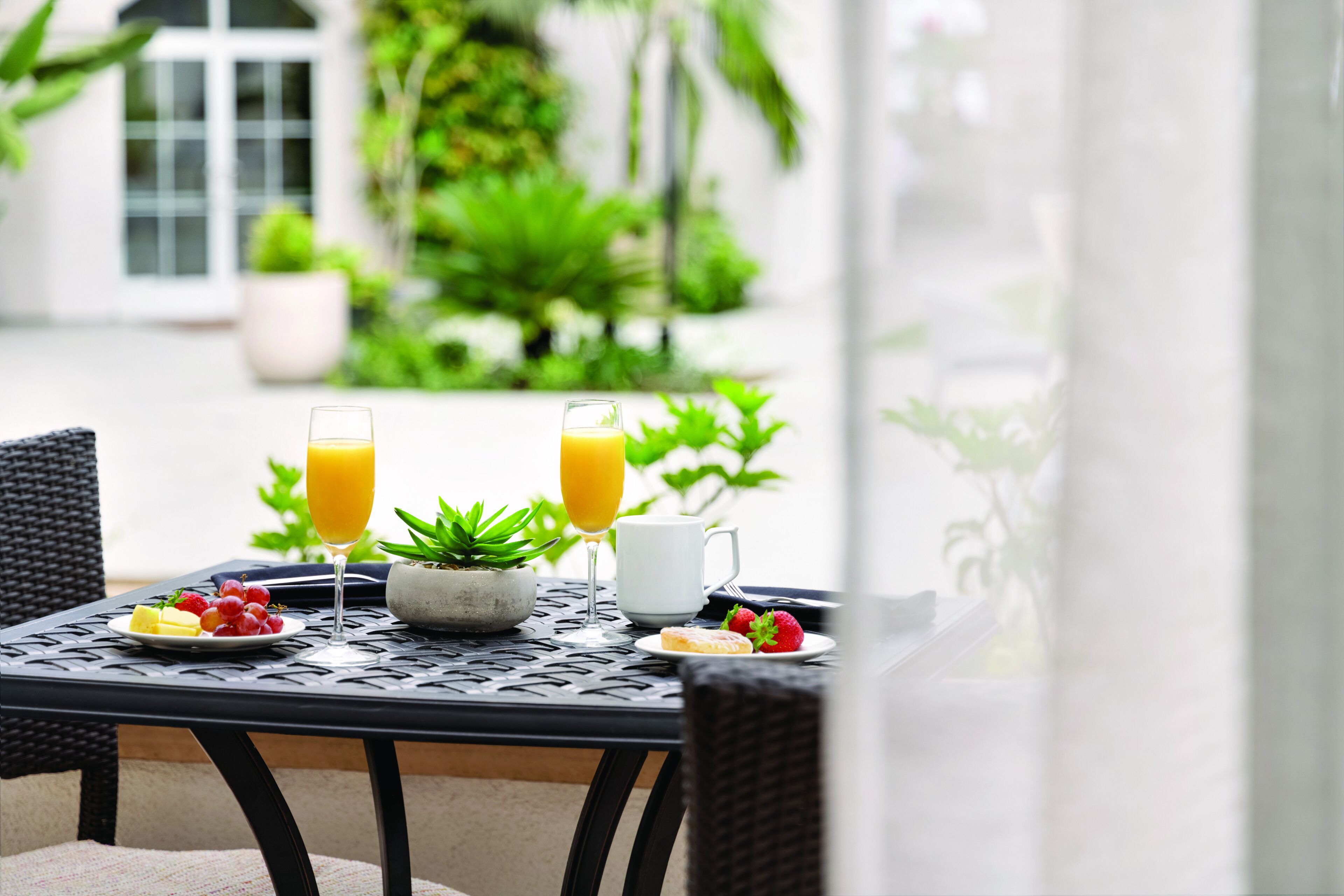 A table with a potted plant, two glasses of orange juice, a plate with strawberries and a slice of lemon, and a white mug.