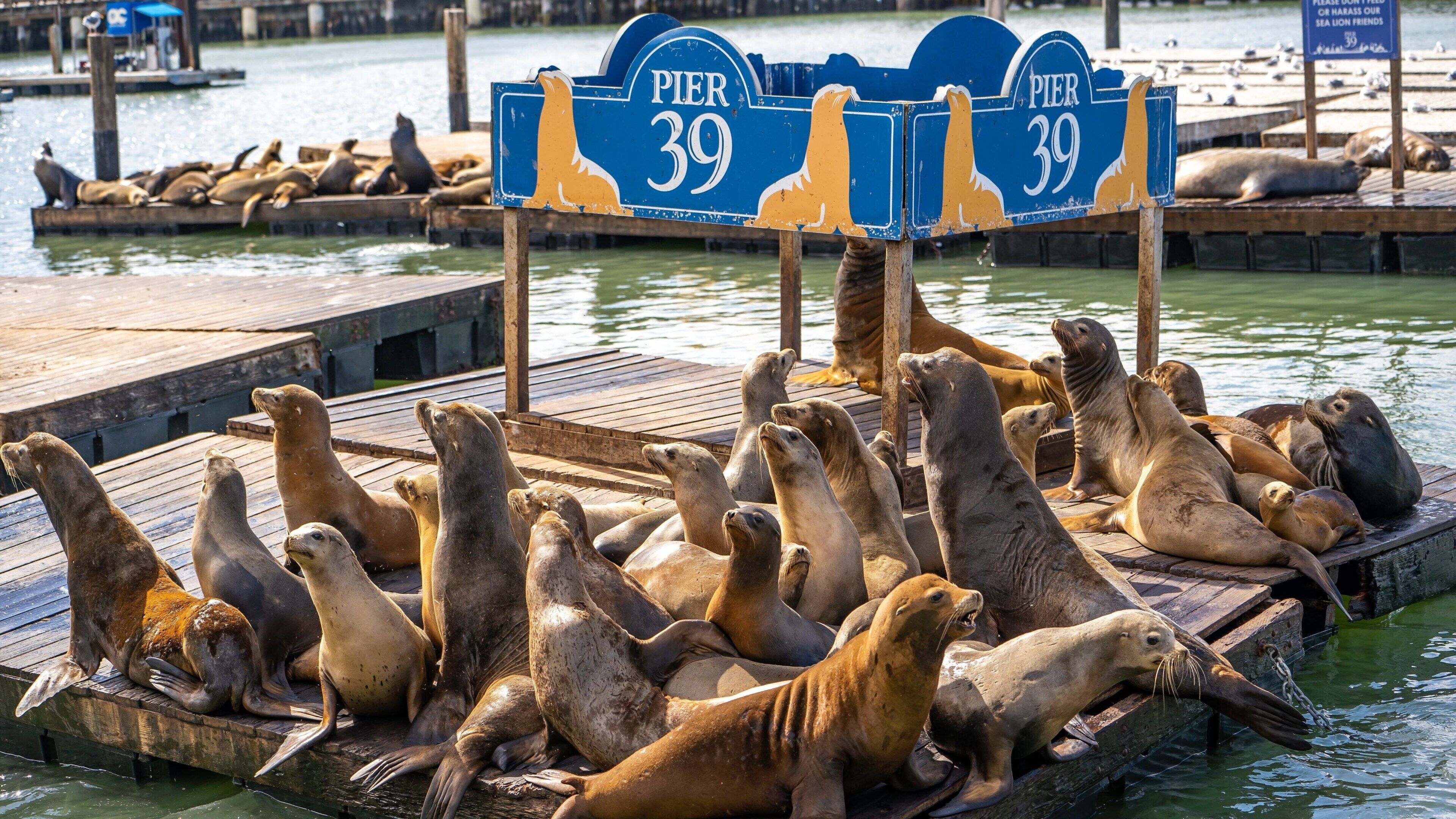 children’s activities