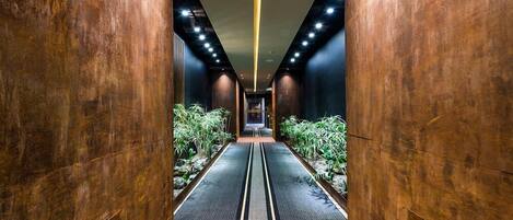 A hallway with wooden walls, a central pathway, and plants on either side.