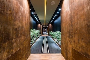 A hallway with wooden walls, a central pathway, and plants on either side.
