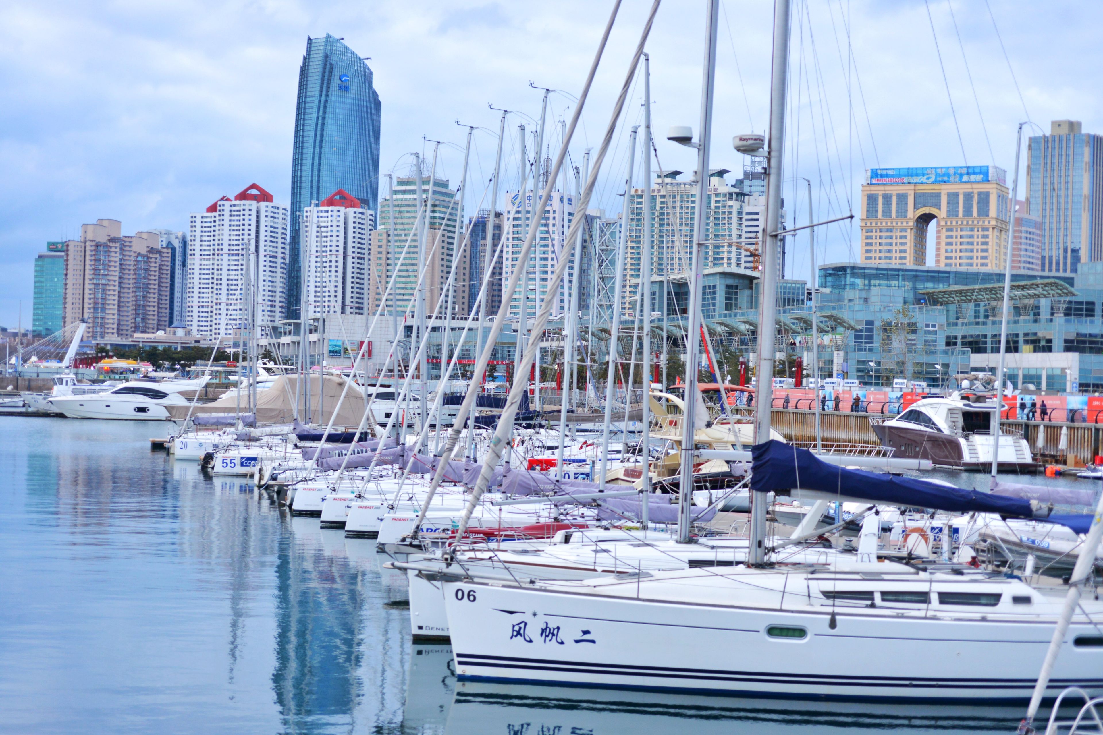 A marina with multiple sailboats docked, a city skyline in the background, and a clear sky.