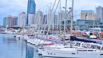 A marina with multiple sailboats docked, a city skyline in the background, and a clear sky.