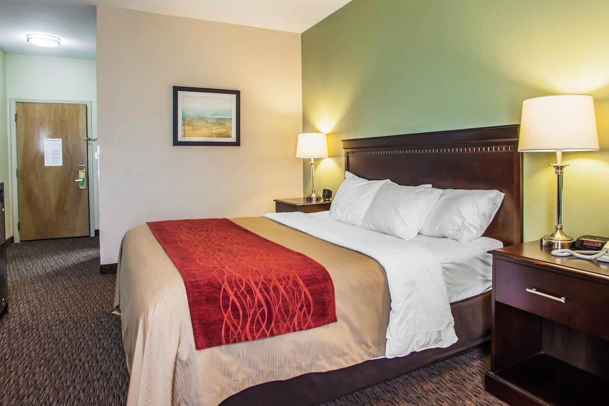 Habitación de hotel con cama, dos mesitas de noche con lámparas, una puerta, un cuadro en la pared y suelo alfombrado.