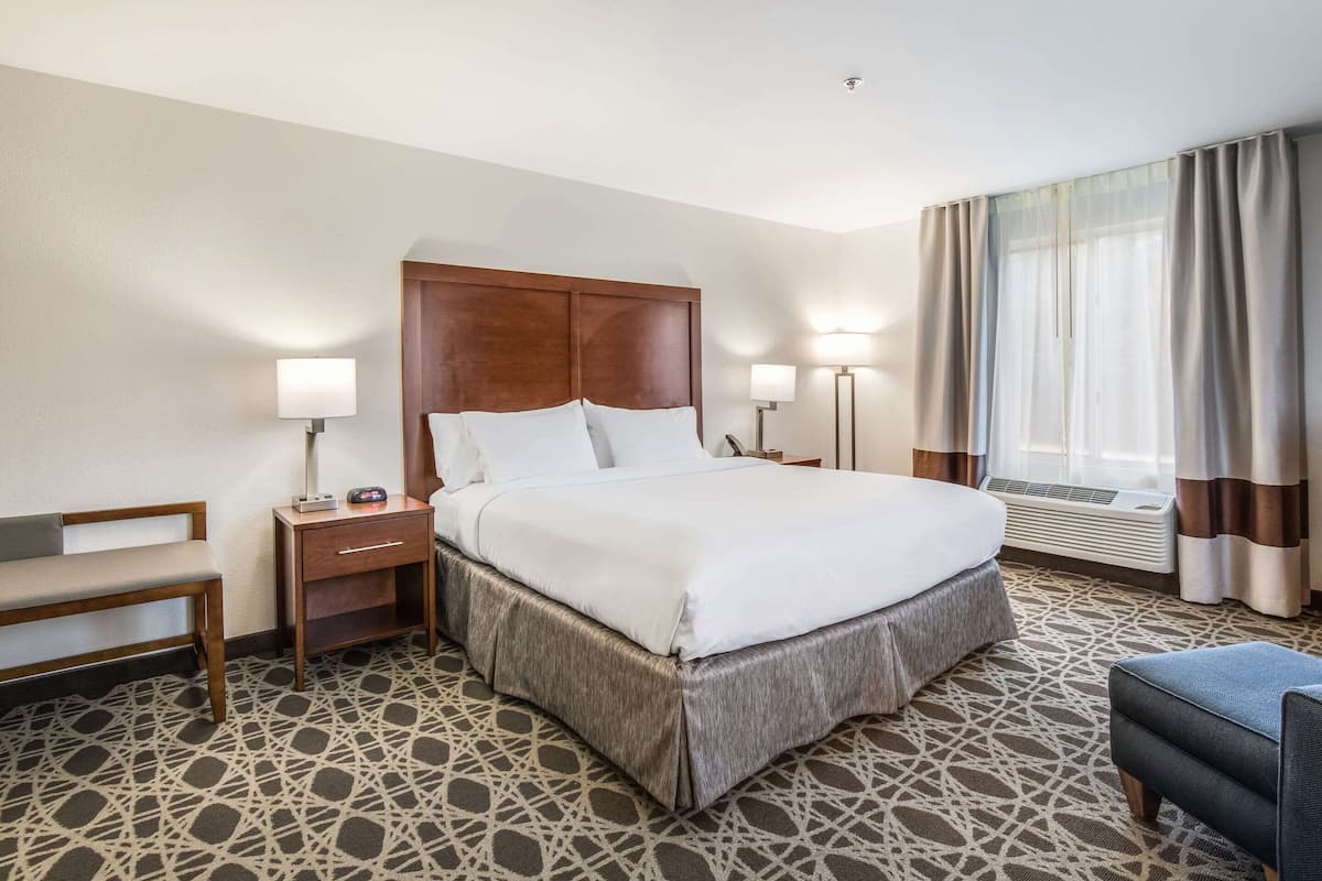 A hotel room with a large bed, bedside tables, a bench, and a patterned carpet.