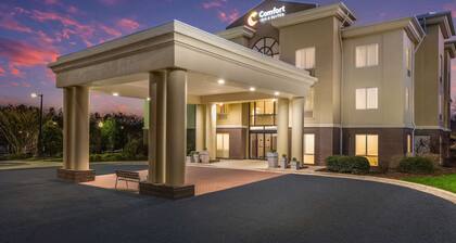 Comfort Inn & Suites Brevard North