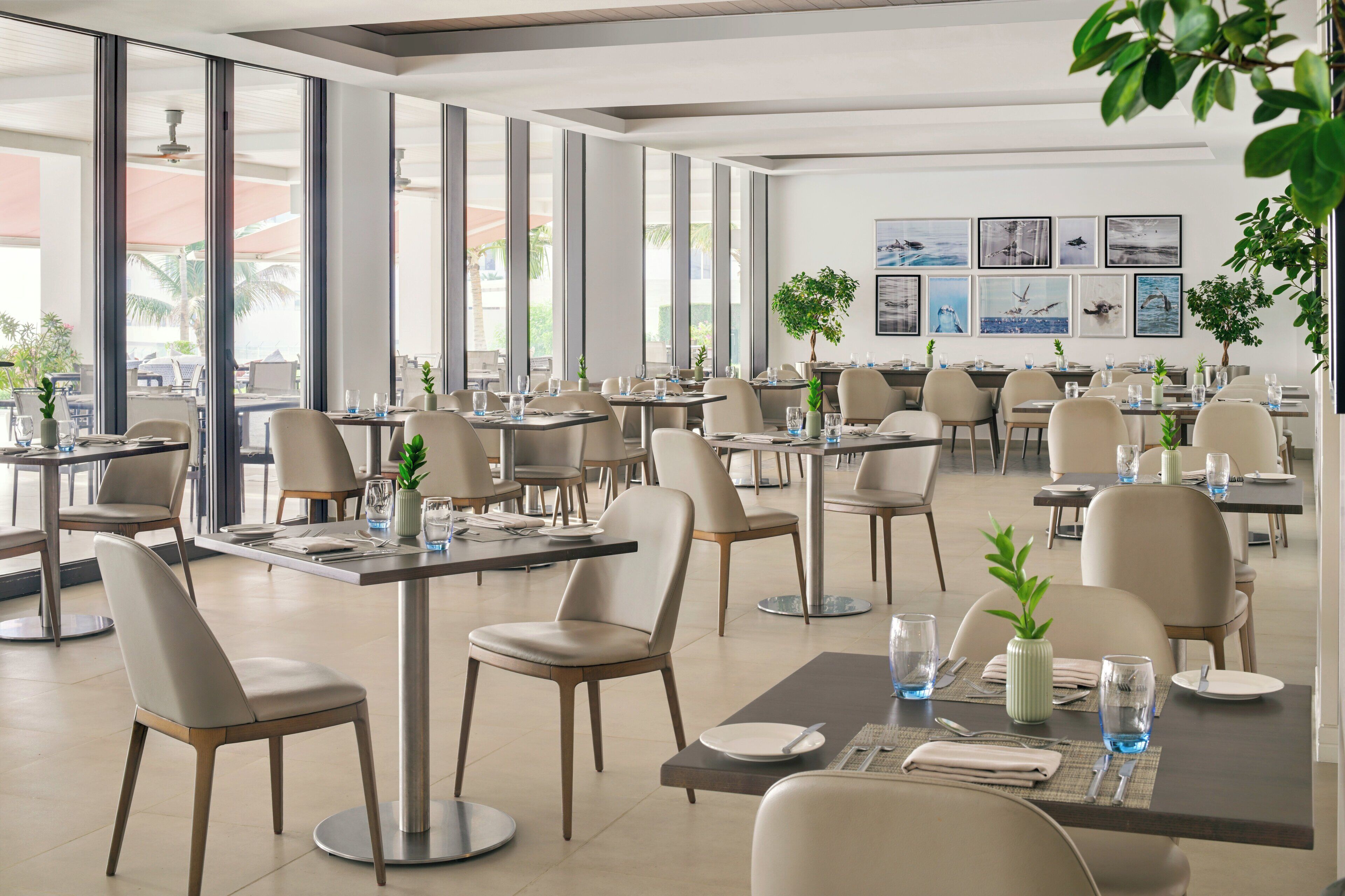 A spacious restaurant with high ceilings, large windows, and modern furniture. Tables are set with plates, glasses, and cutlery.