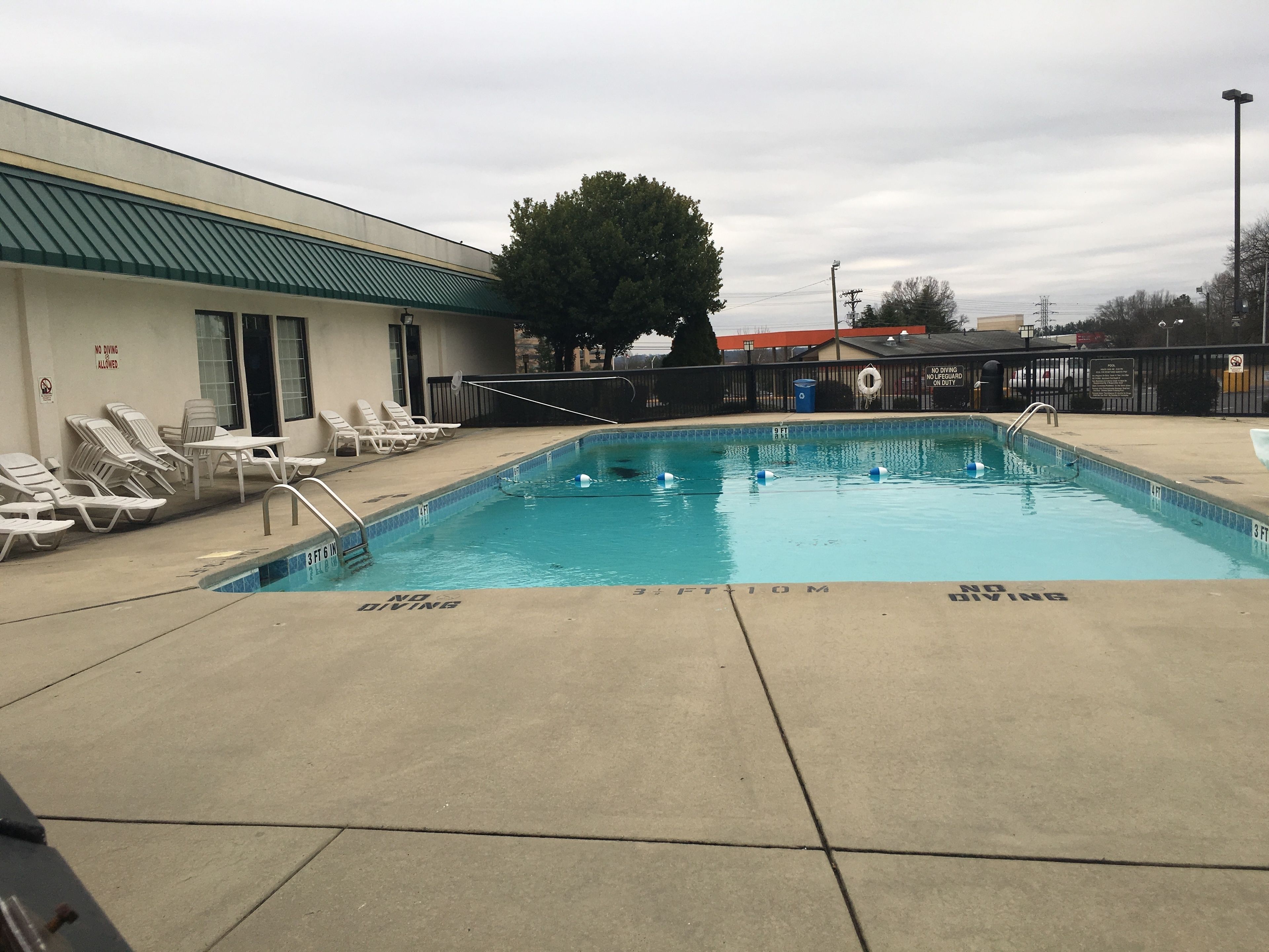 A swimming pool with lounge chairs and a no diving sign.