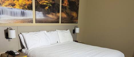 Skrivbord, strykjärn/strykbräda och gratis wi-fi