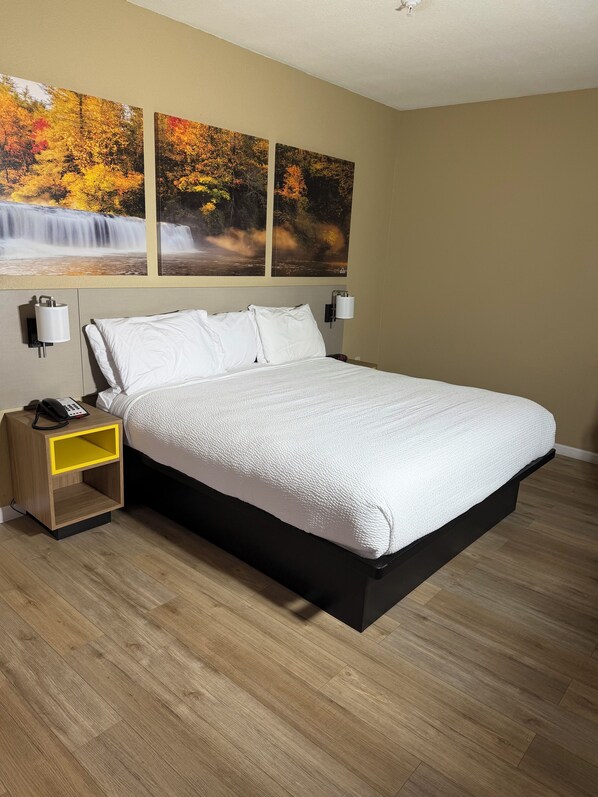 Desk, iron/ironing board, free WiFi