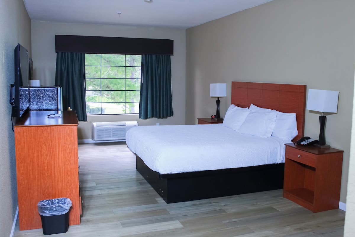 Room, 1 King Bed, Accessible, Non Smoking (Mobility, Bathtub W/grab Bars)