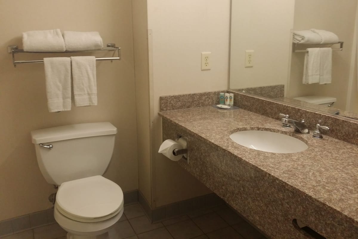 Artículos de tocador gratuitos, secador de pelo, toallas