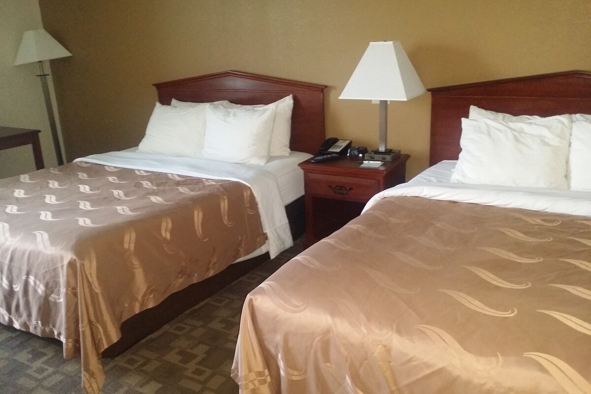 Two double beds with brown bedspreads, a bedside table with a lamp, and a telephone.