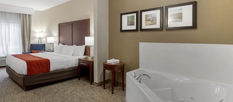 Comfort Inn & Suites Canton Riverstone Area