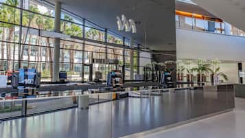 A spacious airport terminal with a modern design, featuring a check-in area with self-service kiosks and a clear view of palm trees outside.