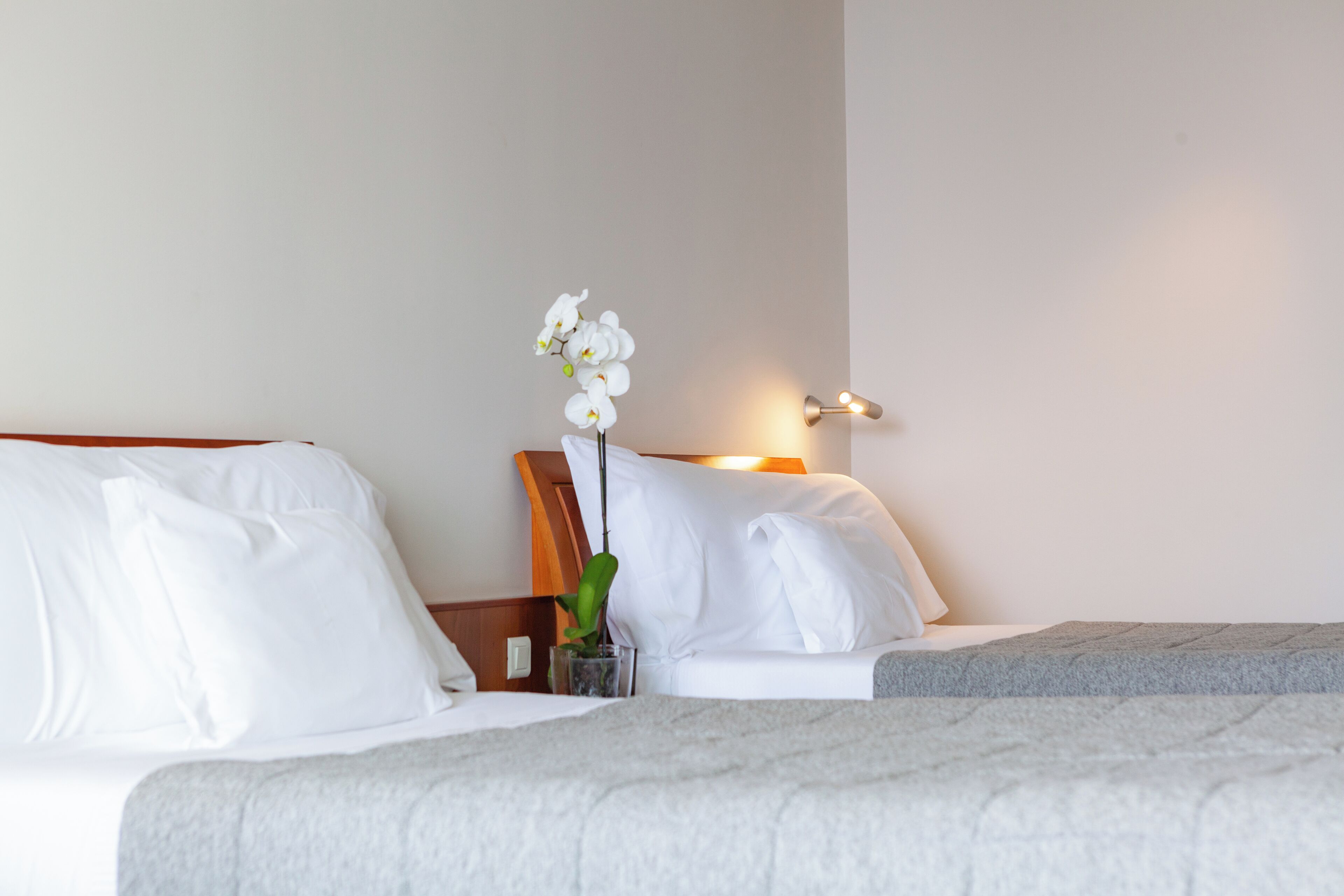 A hotel room with two beds, white bedding, a bedside table with a lamp, and a small potted plant.
