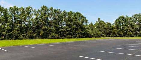 A parking lot with white lines marking parking spaces, surrounded by a grassy area and dense trees.